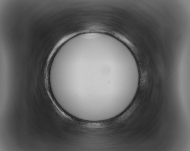 X0000085051470200703051035
