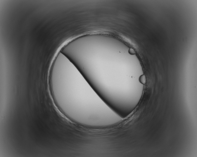 X0000085051471200703051035