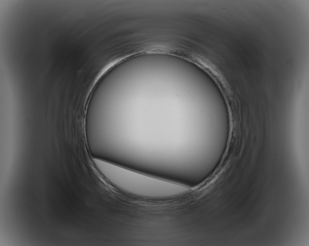 X0000085051473200703051035