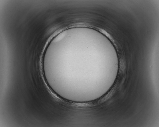 X0000085051474200703051035