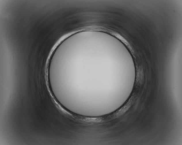 X0000085051478200703051035