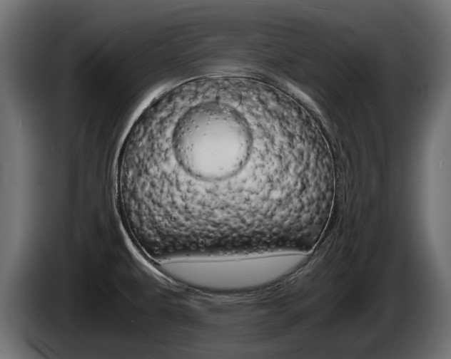 X0000085051479200703051035