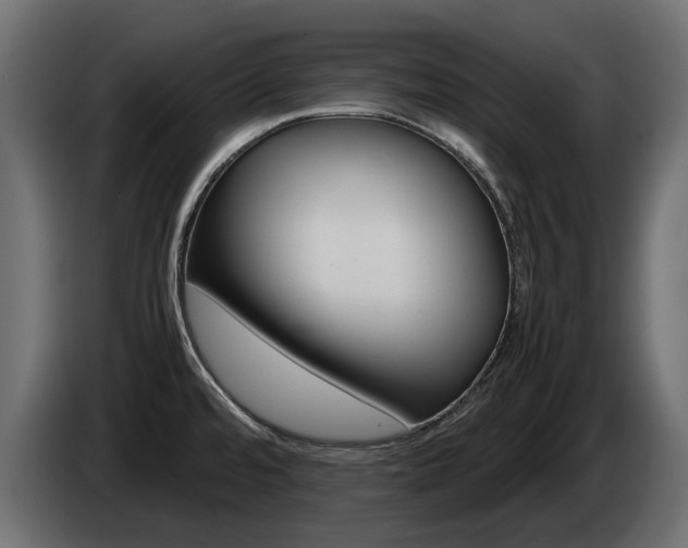 X0000085051480200703051035