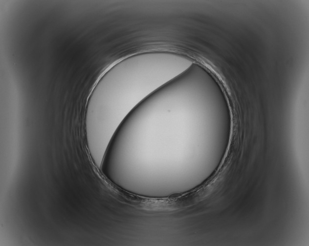 X0000085051481200703051035