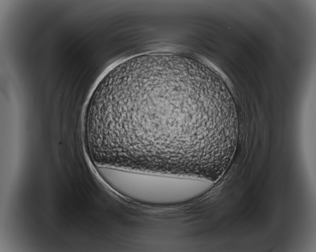 X0000085051483200703051035