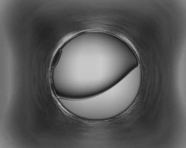 X0000085051485200703051035