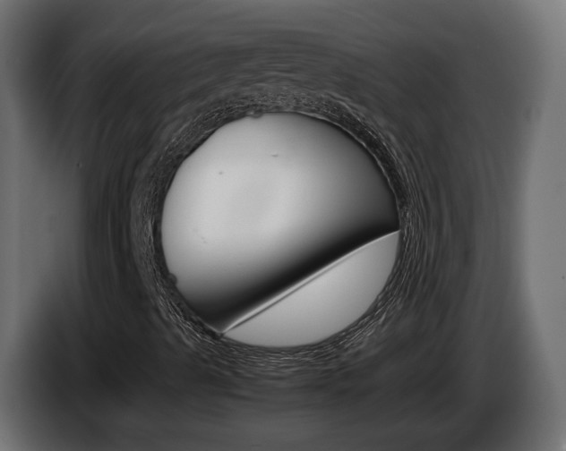 X0000085051489200703051034