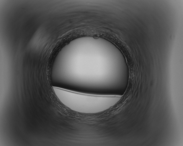 X0000085051490200703051034