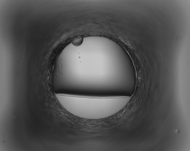 X0000085051495200703051034