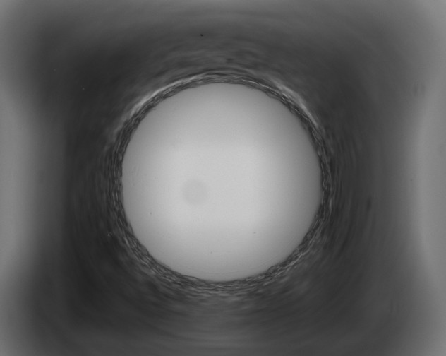 X0000085051496200703051034