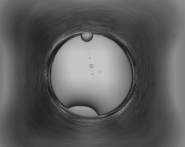 X0000085051498200703051034