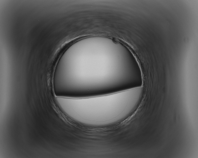 X0000085051499200703051034