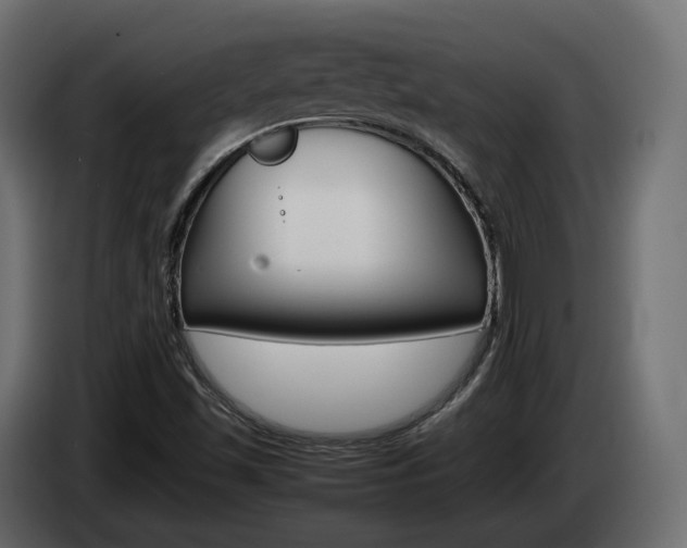 X0000085051501200703051034