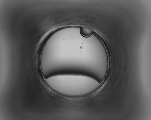 X0000085051502200703051034