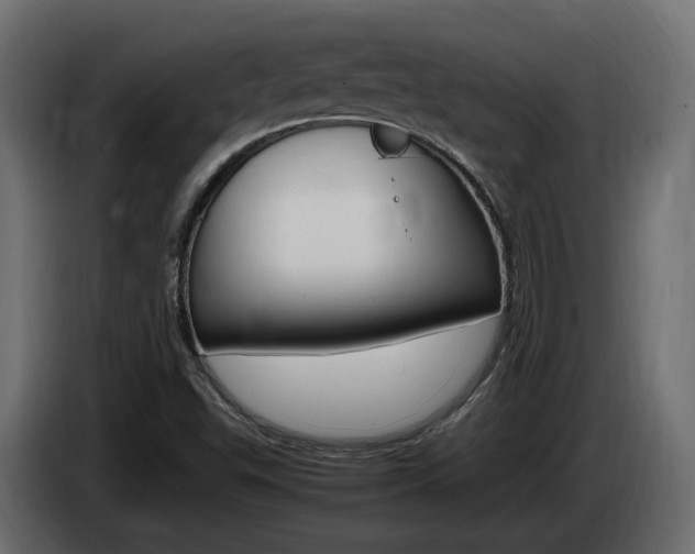 X0000085051503200703051034