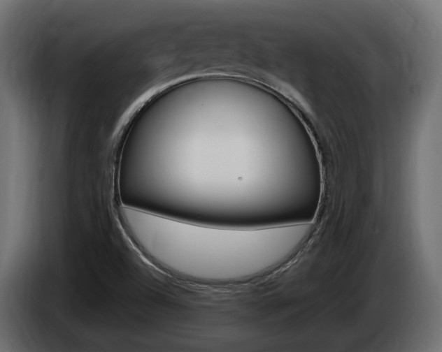 X0000085051504200703051034