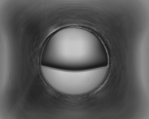 X0000085051505200703051034