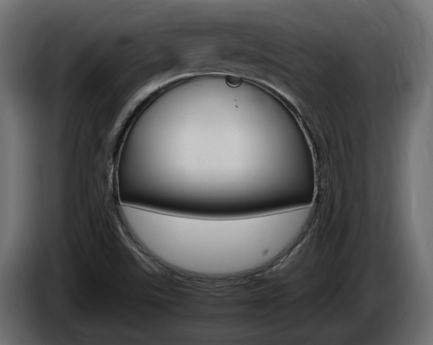 X0000085051507200703051034