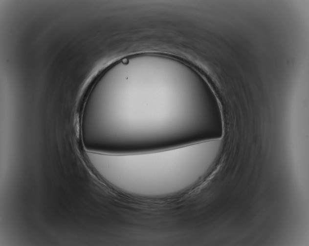 X0000085051509200703051034