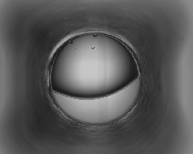 X0000085051510200703051034