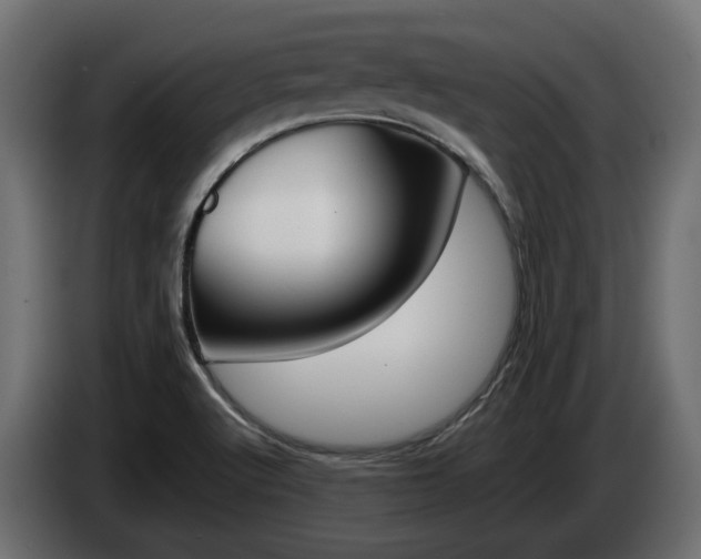 X0000085051512200703051035