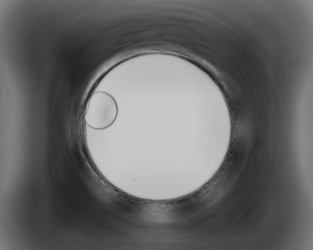 X0000085051514200703051035