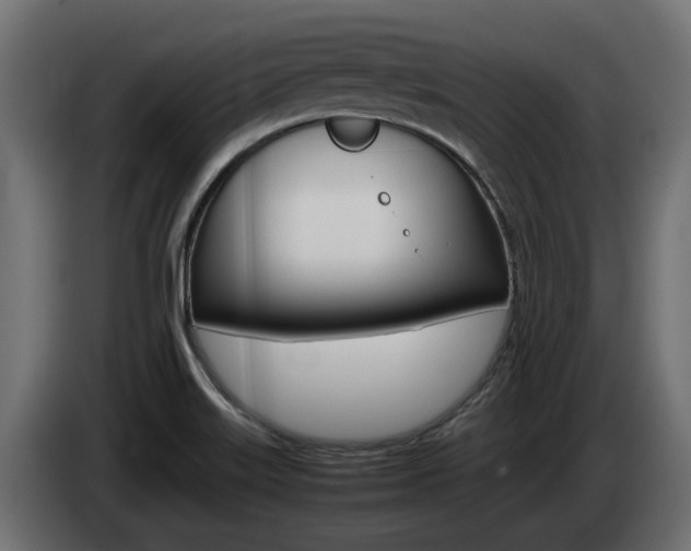 X0000085051515200703051035