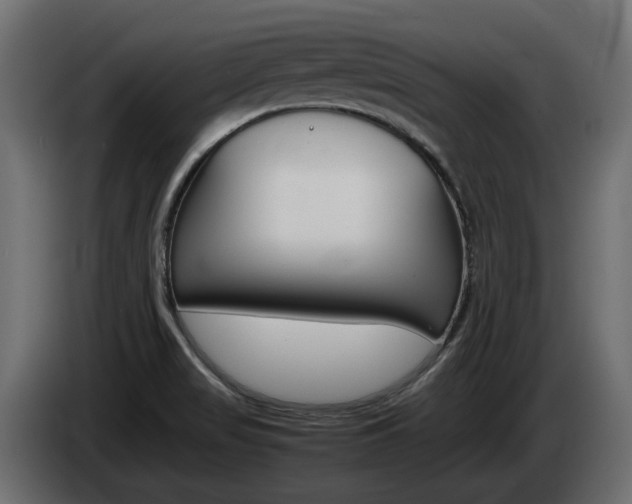 X0000085051517200703051035