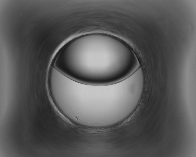 X0000085051518200703051035