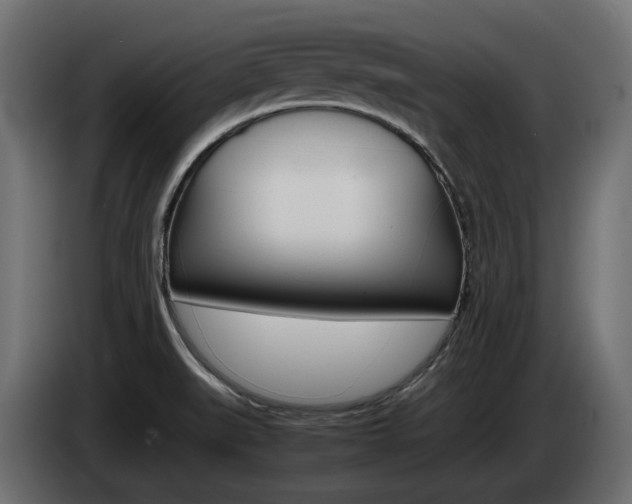 X0000085051519200703051035