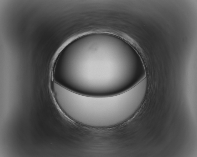 X0000085051520200703051035