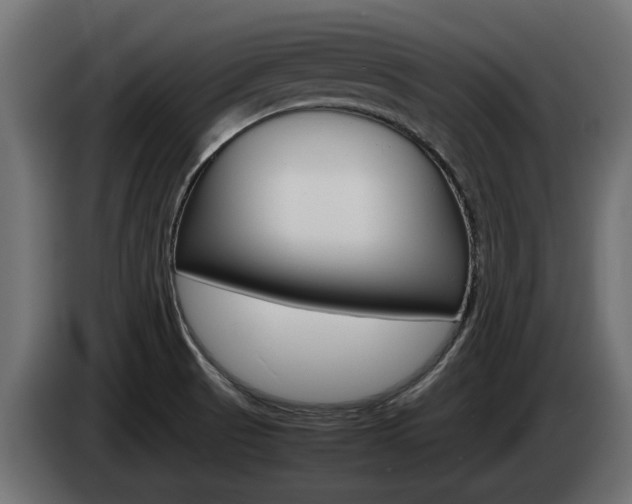 X0000085051521200703051035