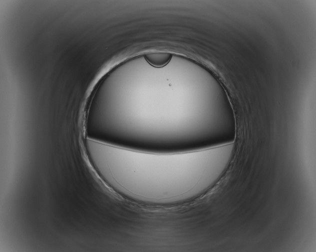 X0000085051522200703051035