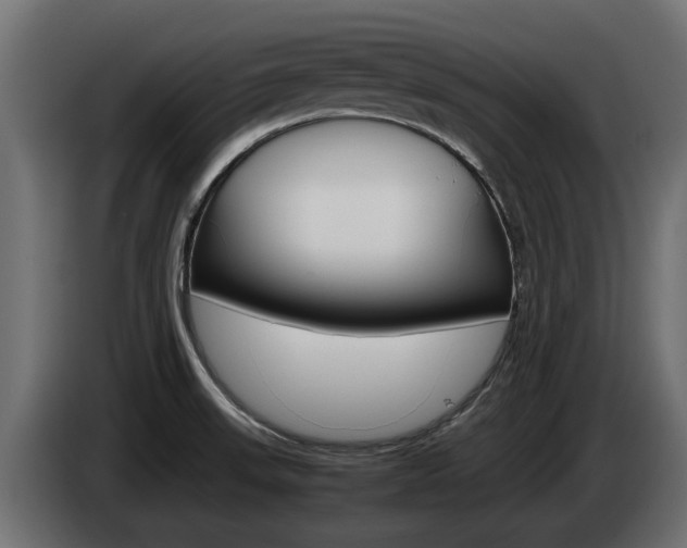 X0000085051523200703051035