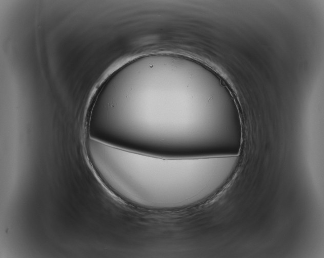 X0000085051525200703051035