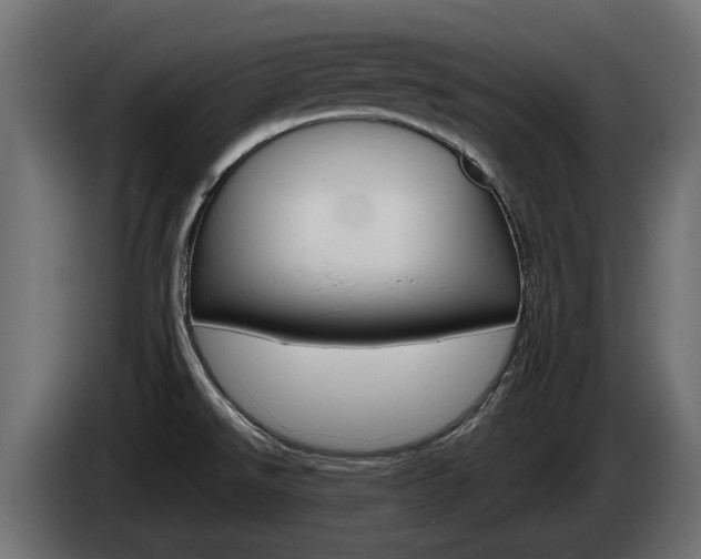 X0000085051526200703051035