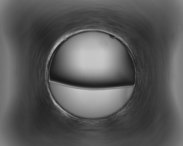 X0000085051527200703051035