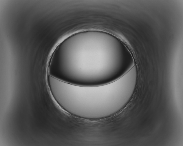 X0000085051528200703051035