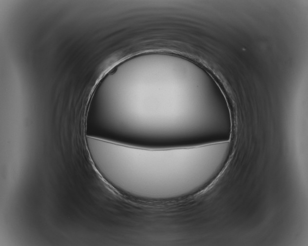 X0000085051529200703051035