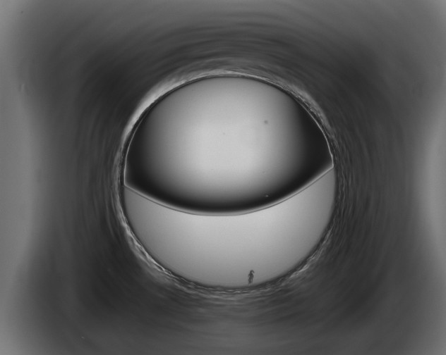 X0000085051530200703051035