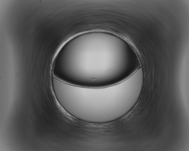 X0000085051532200703051035