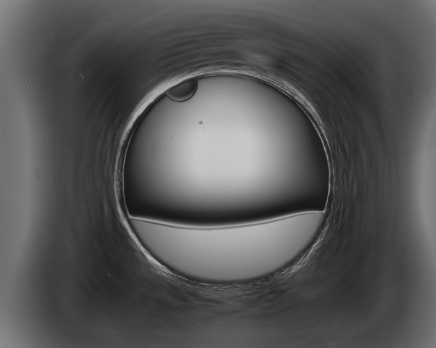 X0000085051533200703051035
