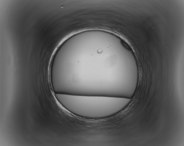 X0000085051535200703051035