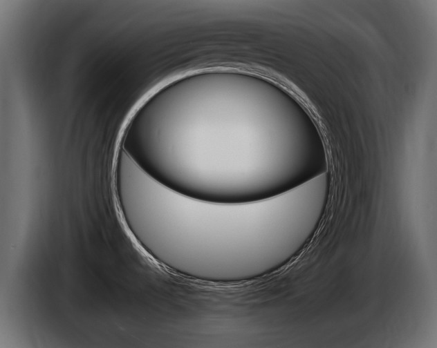 X0000085051536200703051035