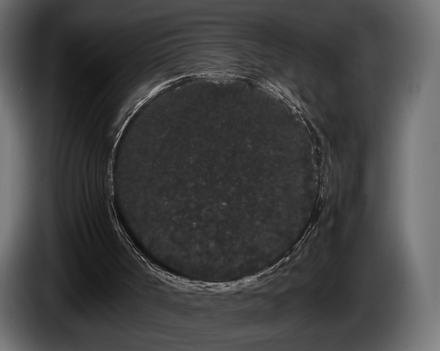 X0000085050002200703051427