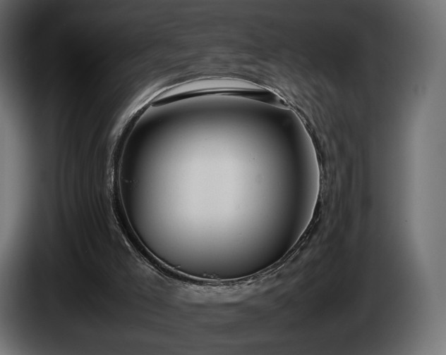 X0000085050005200703051427