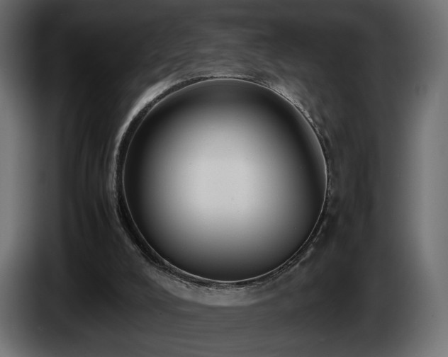 X0000085050008200703051427