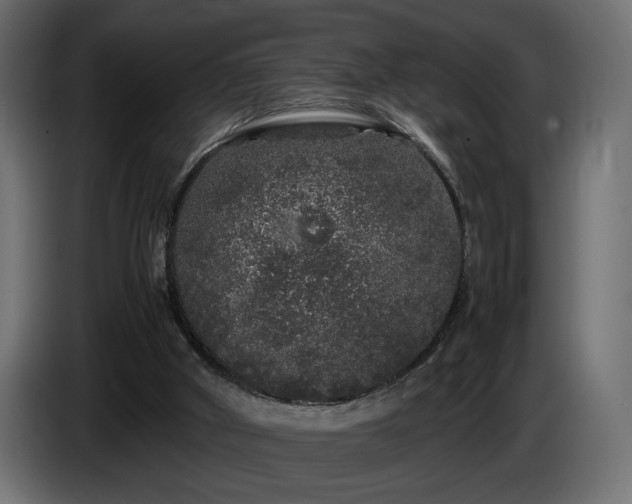 X0000085050010200703051427