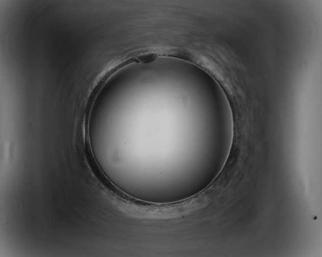 X0000085050011200703051427