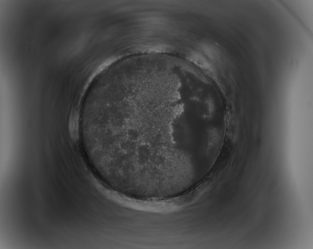 X0000085050012200703051427